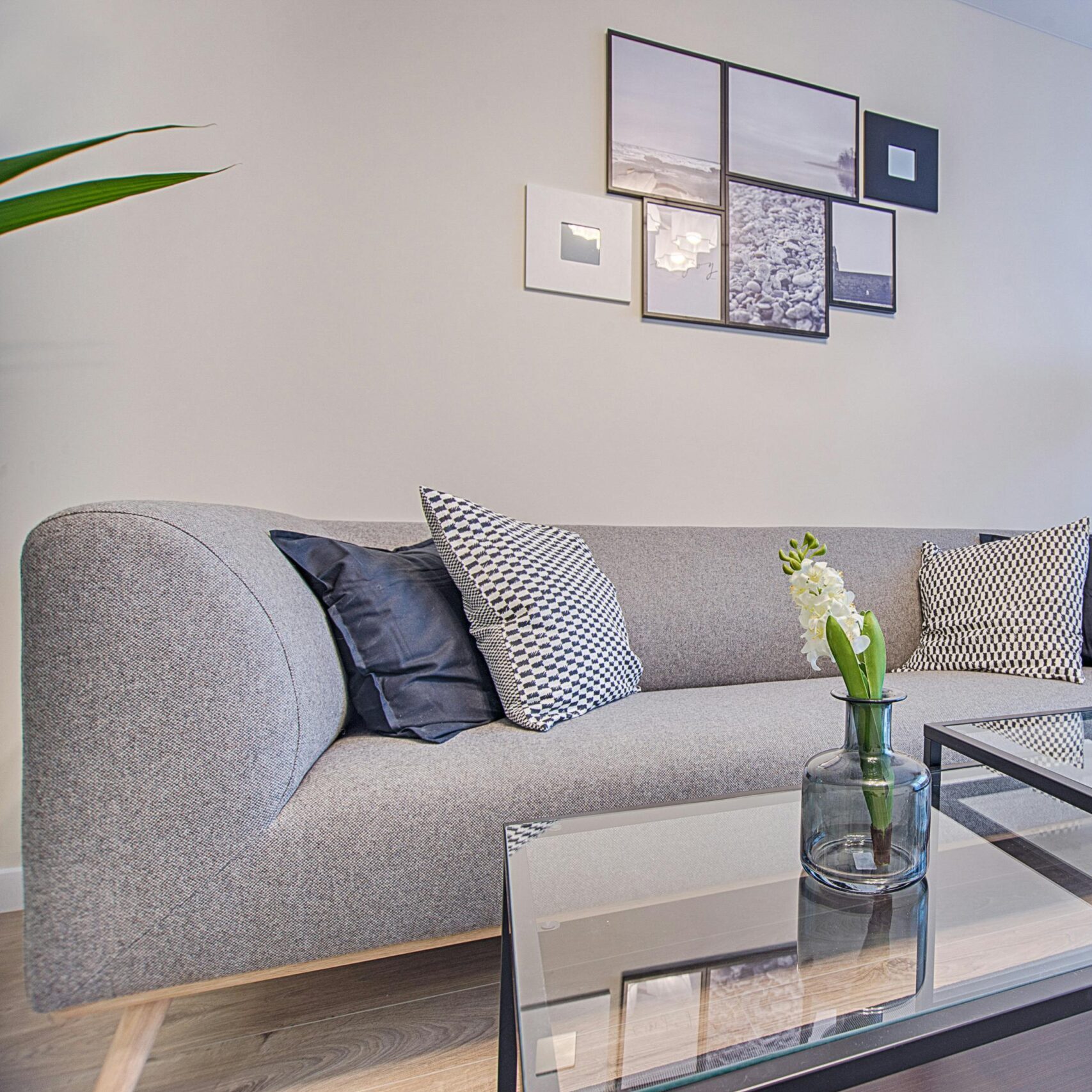Contemporary living room featuring a gray sofa, geometric decor, and framed art.